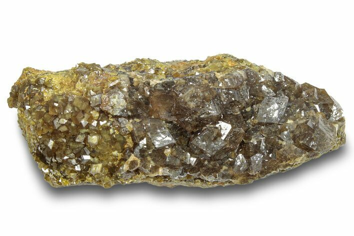 Sharp Andradite Garnet Cluster - Stanley Butte, Arizona #245048